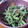 じゅん♪'s cooksnap of when they made ♪いんげんのゴマあえ♪.