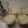 ひれながかんぱち's cooksnap of when they made お豆腐ヨーグルトでレアチーズケーキ.