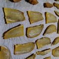 ゆりのもり's cooksnap of when they made 紅はるか♡黄金の甘〜い干し芋♪ オーブン.