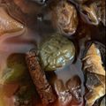 トイカム's cooksnap of when they made 梅講師直伝㊼梅シロップの梅の甘露煮.
