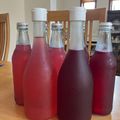 〜rika〜's cooksnap of when they made クエン酸入り赤しそジュース☆.