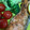 クックHDP0M2☆'s cooksnap of when they made 塩鮭の切り身で簡単☆鮭のレモンムニエル.