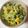ponpocojp's cooksnap of when they made 春爛漫✿菜の花と桜えびと卵の混ぜご飯✿.