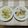 bleudaria's cooksnap of when they made 秋の味覚　さつまいもご飯.