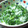 くまとシロ's cooksnap of when they made 春菊のしらすみぞれ和え.