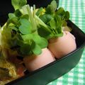 こうまさmam's cooksnap of when they made 魚肉ソーセージで☆かいわれの花束.