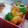 おんかめ's cooksnap of when they made 焼いて和えるだけ～♪簡単エビマヨ♡.