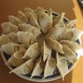 cerbuta's cooksnap of when they made おからのヘルシー餃子♪.