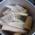 うたかた。's cooksnap of when they made 米ぬか不要！淡竹（はちく）の茹で方.