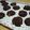 sumirenore's cooksnap of when they made トリプルカカオdeチョコドロップクッキー.