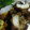 はちゅっこ's cooksnap of when they made 秘伝のから揚げ！竜田揚げ風！胸肉使用♪.