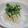 chocotama's cooksnap of when they made 大根の梅和え.