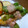 みとー's cooksnap of when they made ししとうのベーコン巻き天♪.