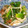 きらり流れ星's cooksnap of when they made 小松菜とえのきだけの煮浸し.
