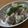 レオン犬's cooksnap of when they made ★里芋のゆずマヨサラダ★.