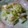 ゆっかka's cooksnap of when they made うちの☆簡単♪浅漬け白菜.