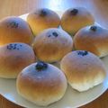 kanean's cooksnap of when they made 丸ごと栗の栗アンパン.