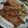 まいぴぃ♥'s cooksnap of when they made 豚の生姜焼き.