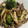 KissHug☆'s cooksnap of when they made ブロッコリーの茎ときのこのオイスター炒め.