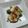 あっこ姉's cooksnap of when they made 穴子のグリル★バルサミコソース.