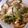 はっぱのぱっぱ's cooksnap of when they made ほうれん草としめじのミートスパゲッティ.
