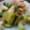 canno's cooksnap of when they made ＊　セロリと鶏肉のしょうが風味塩炒め　＊.
