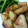 tsohmionko's cooksnap of when they made ゴマの風味の新じゃが煮ころがし.