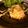ひめおがわ's cooksnap of when they made さばのしょうがマヨネーズソース.