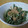 ２児ママなつお's cooksnap of when they made いんげんのツナしょうゆマヨ★.