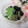 miyuki12's cooksnap of when they made そば団子と黒豆の和スイーツ.