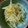 ミルク１８'s cooksnap of when they made 柚子が香る♪もやしのおひたし.