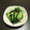 まくのうち's cooksnap of when they made きゅうりと塩昆布の簡単浅漬け.