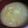 ポンポコあぽろ's cooksnap of when they made 長芋☆味噌汁.