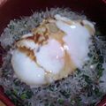 SILK0205's cooksnap of when they made 早い簡単美味い♪しらすネギ丼.