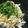 yukanosuke's cooksnap of when they made だし揉み大根.
