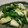 Cookingmam's cooksnap of when they made 節約☆鶏むね肉と小松菜の塩炒め.