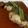 naoky's cooksnap of when they made 銀だらの煮付け.