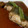 naoky's cooksnap of when they made 銀だらの煮付け.