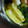 ＭＯＭＯパンダ's cooksnap of when they made お弁当に♪マヨでふっくら卵焼き♪.