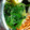 ＭＯＭＯパンダ's cooksnap of when they made ほうれん草のごま和え.
