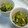 めそ。's cooksnap of when they made 小松菜のさっと煮.