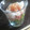 emitan52's cooksnap of when they made 納豆おくらのおろし添え柚子胡椒風味.