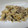 まほじょ's cooksnap of when they made えのきと豚肉の塩昆布炒め.