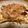 さすらい's cooksnap of when they made 卵焼フライパンでたこ焼き☆かくたこ焼.