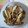あーもこ's cooksnap of when they made エリンギと豚肉の炒め物.