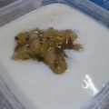 ユーロン's cooksnap of when they made 手作りキウイジャム.