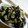 ju_10's cooksnap of when they made 和風ひじきさらだ.