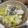 ミアンミアン's cooksnap of when they made たらの白菜煮.