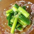 脩ﾏﾏ's cooksnap of when they made ポリポリきゅうり！.