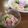 ピンクの毛糸だま's cooksnap of when they made ワイワイ♪のっけもりそうめん.